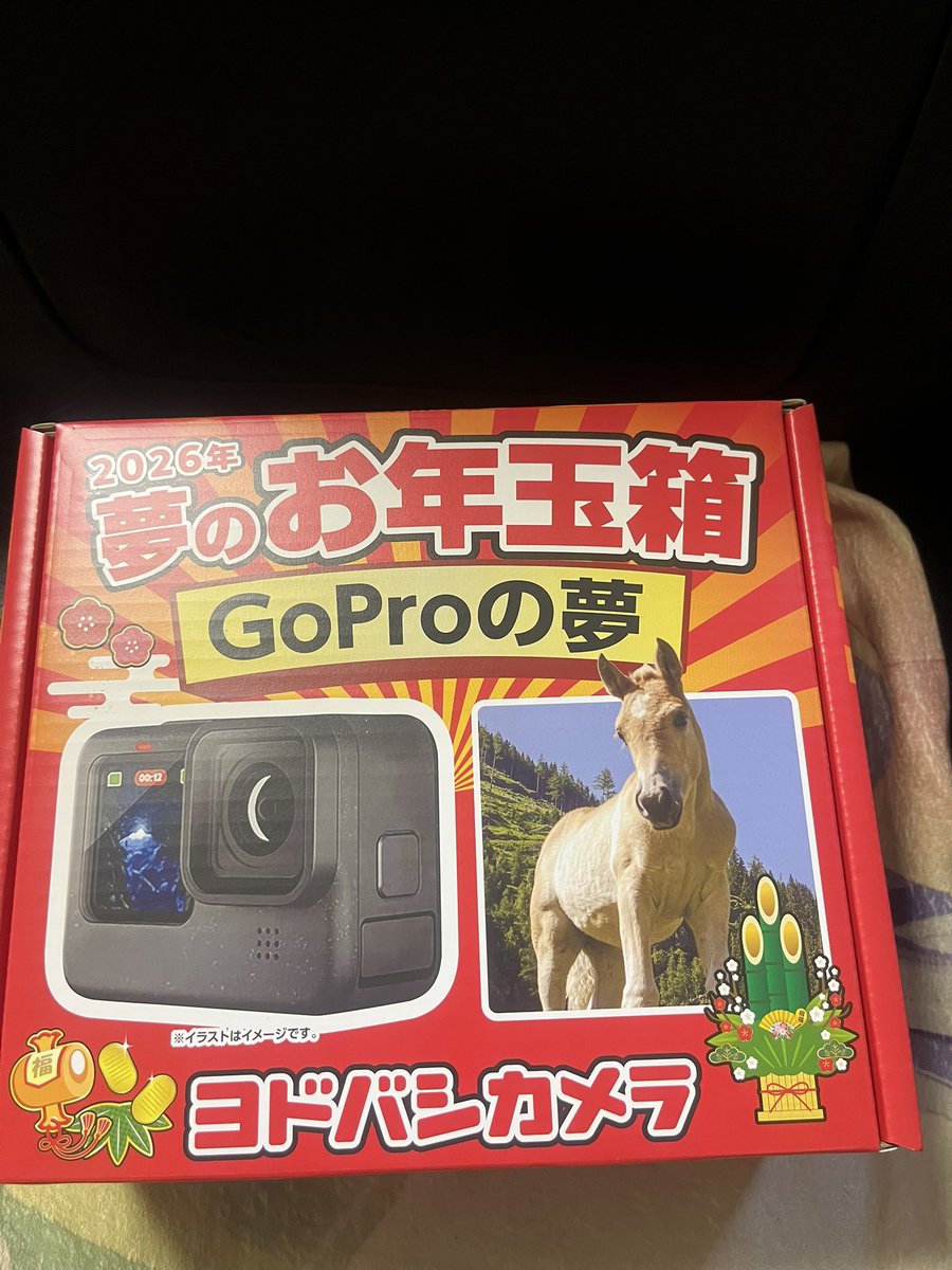 ヨドバシの福箱、GoProの夢届いたー！