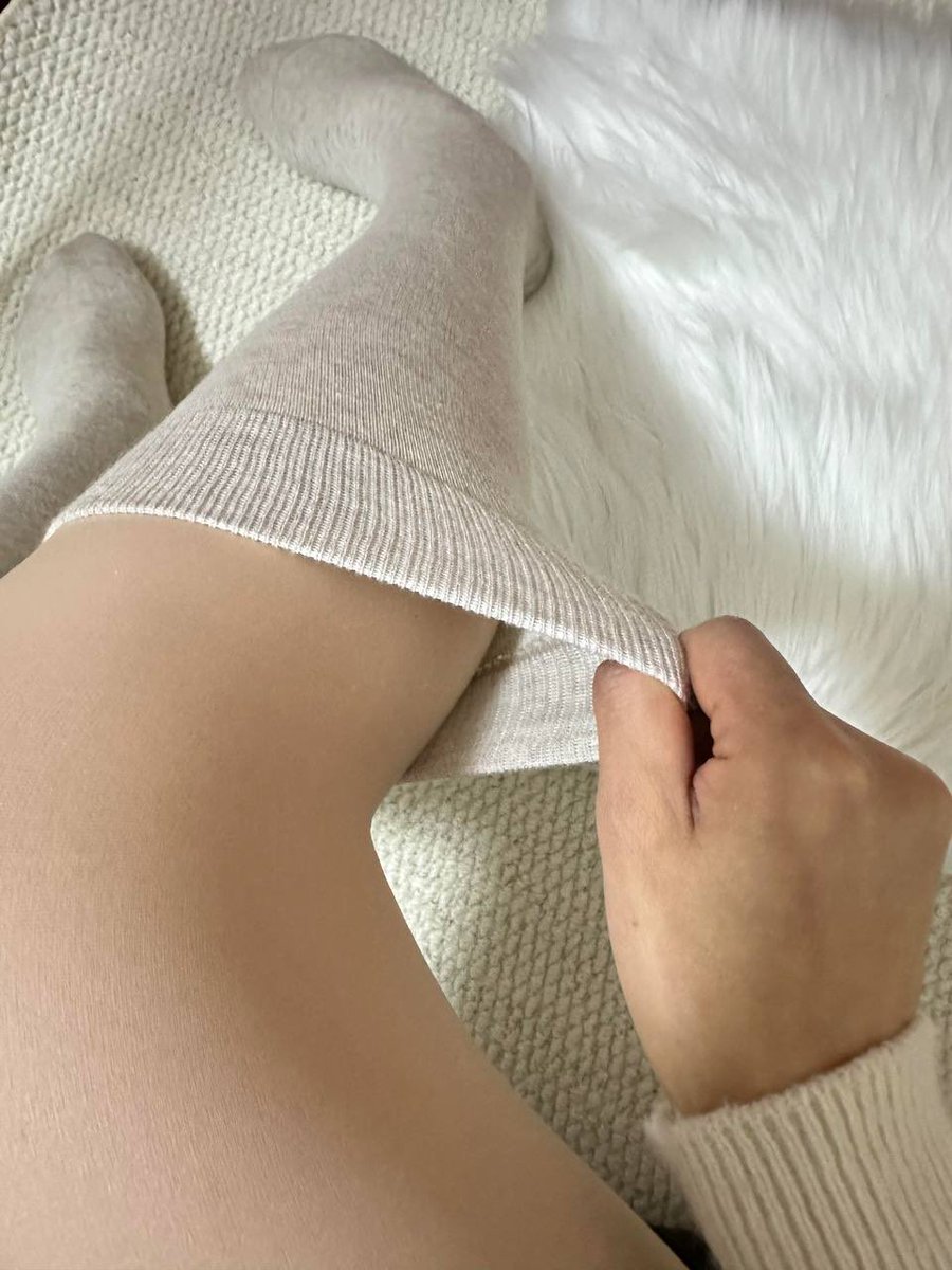 胖橘猫🐱 tweet media