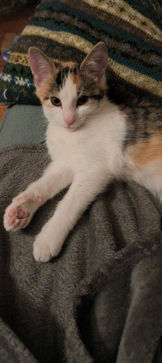 Mathi5000 | Liru tweet media