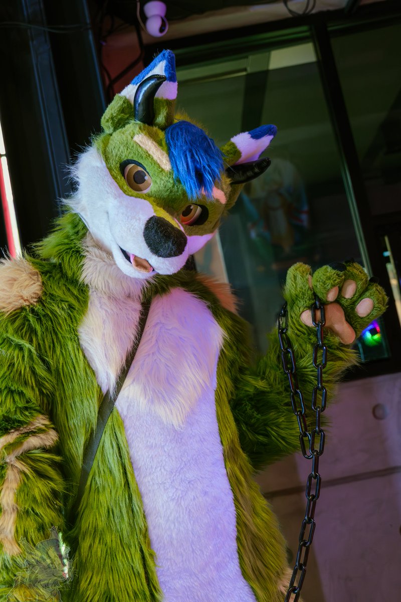 Wufuzz ➡️ ThaiTails 🇹🇭 tweet media