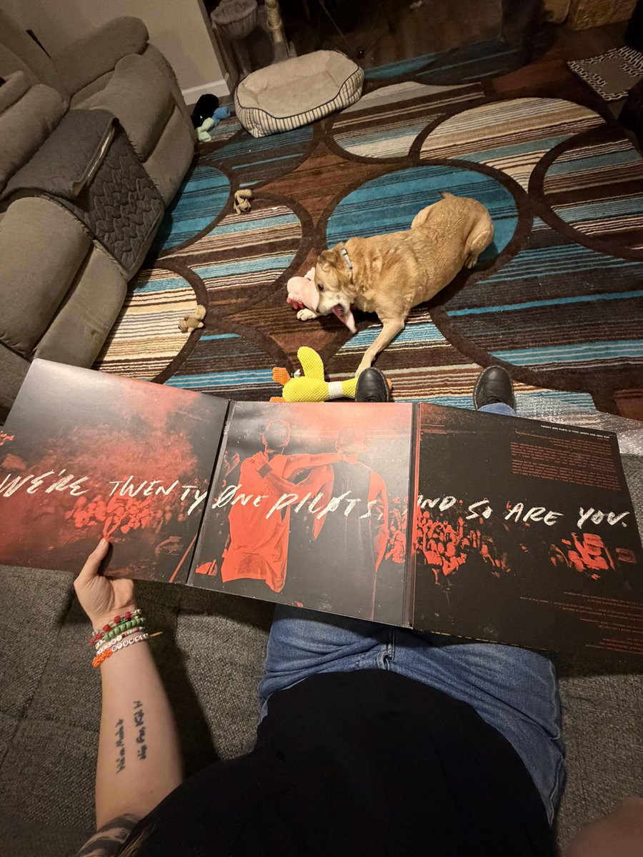 dunintheforest_'s tweet image. LIKE

ITS REAL ANDI OWN IT