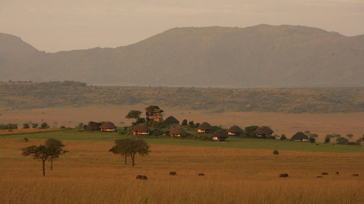 Discover Lonyili Mountain on the South Sudan border. Enjoy nature walks, mountain hiking, and stunning views of montane forests. Plan your trip: kideponationalparkuganda.com/hiking-scenery…  #KidepoValleyNationalPark
#kideponationalpark
#kidepovalleynationalparkuganda