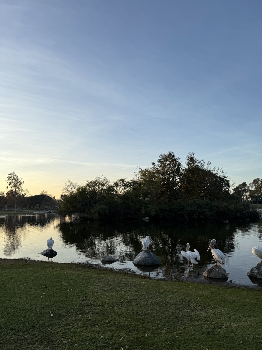 tommy 🌙 tweet media