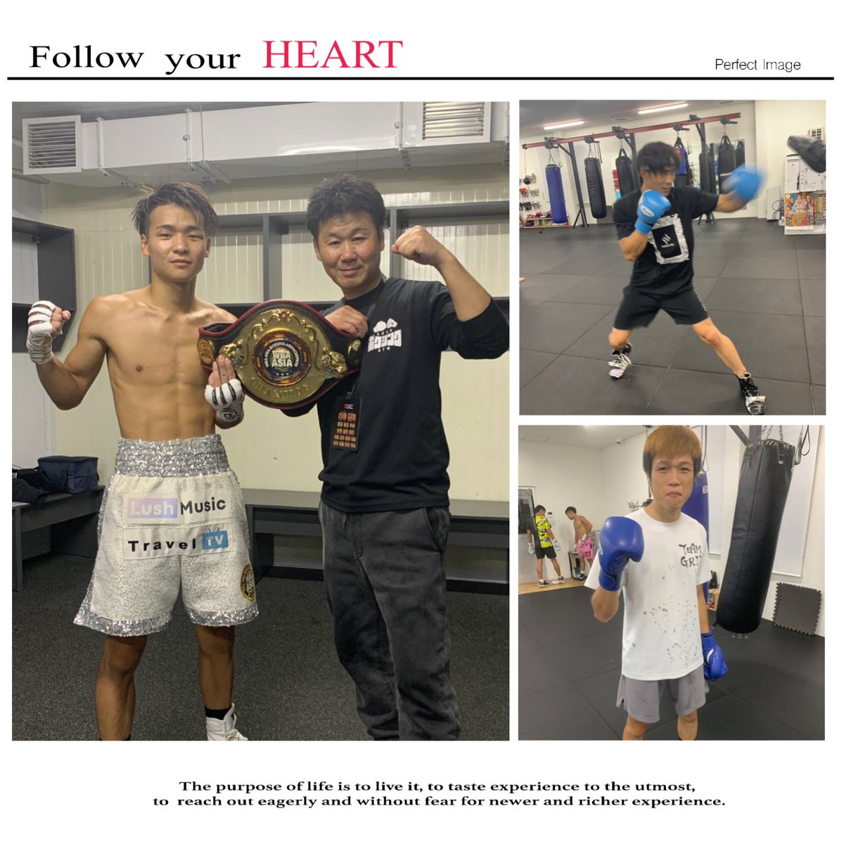 みかんの木 ♪週末セール✮様 楽天市場】果樹 せとか 苗木 みかん タンゴール 蜜柑 接ぎ木 2年生