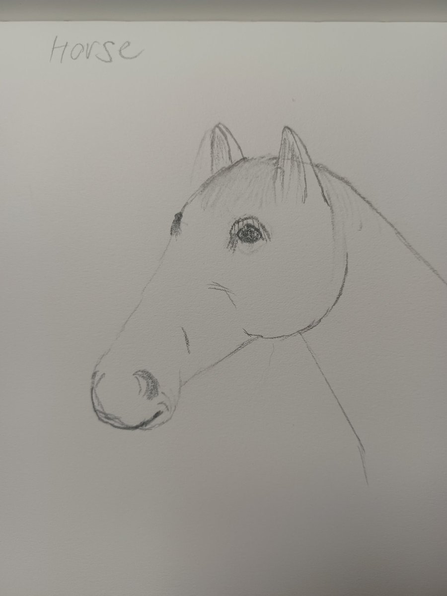 JurayCC's tweet photo. Horse https://t.co/yzQTp6qrBA