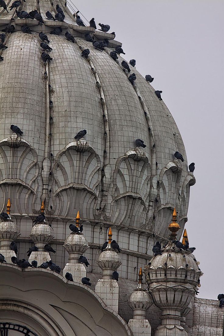 ਤੀਨੇ ਤਾਪ ਨਿਵਾਰਣਹਾਰਾ ਦੁਖ ਹੰਤਾ ਸੁਖ ਰਾਸਿ॥
ਤਾ ਕਉ ਬਿਘਨੁ ਨ ਕੋਊ ਲਾਗੈ ਜਾ ਕੀ ਪ੍ਰਭ ਆਗੈ ਅਰਦਾਸਿ॥

ਵਾਹਿਗੁਰੂ ਜੀ 🙏💐