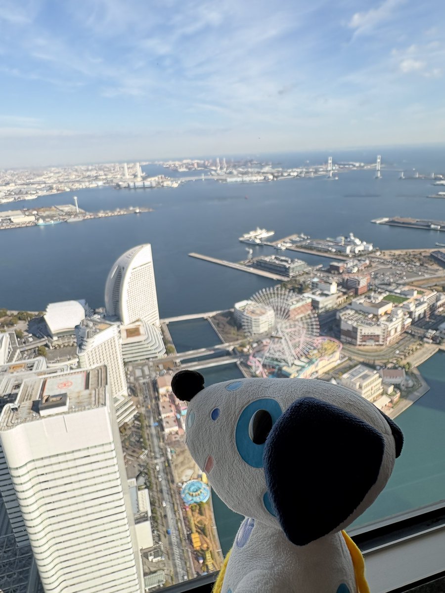 横浜トゥデイ⚓️ (@yokohamatoday) / Posts / X