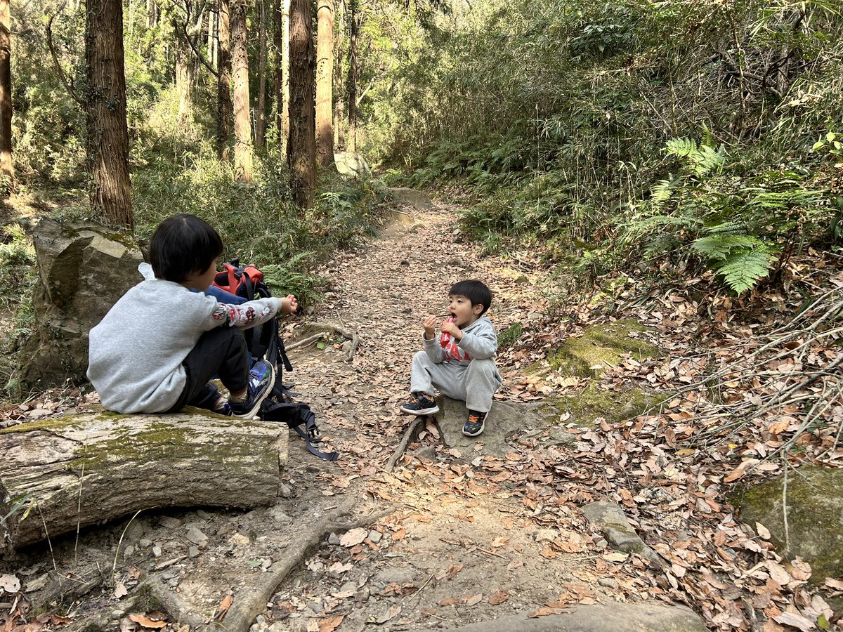 timmyaoki's tweet photo. 宝篋山で大晦日登山⛰️ https://t.co/kstZ3RZIRo