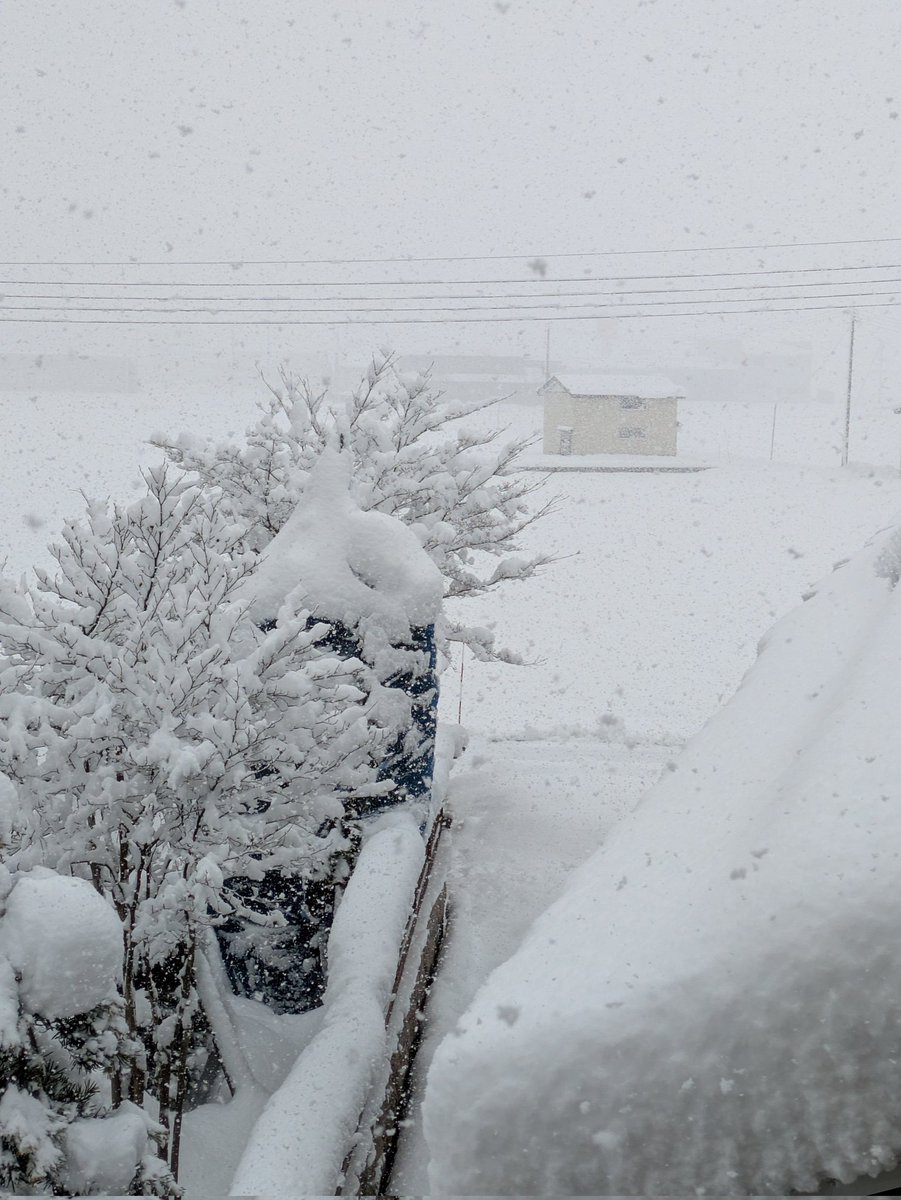 大雪の大晦日でございます。
今年も多くの人に遊んでいただきました。縁あって知り合った皆さんと同じ趣味で楽しめること、幸せだなーと寒風吹きすさぶ実家で熱燗と共に噛み締めてます(笑)
来年も目一杯遊びましょう！
皆さんよいお年を！
