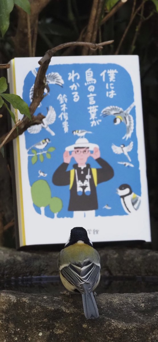 鳥、鈴木 今年は本、書いたからね