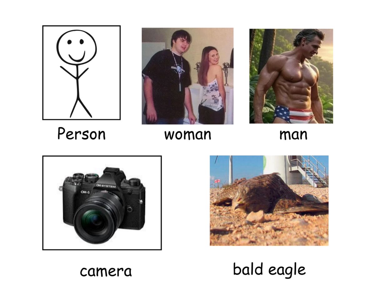 Person, woman, man, camera, eagle