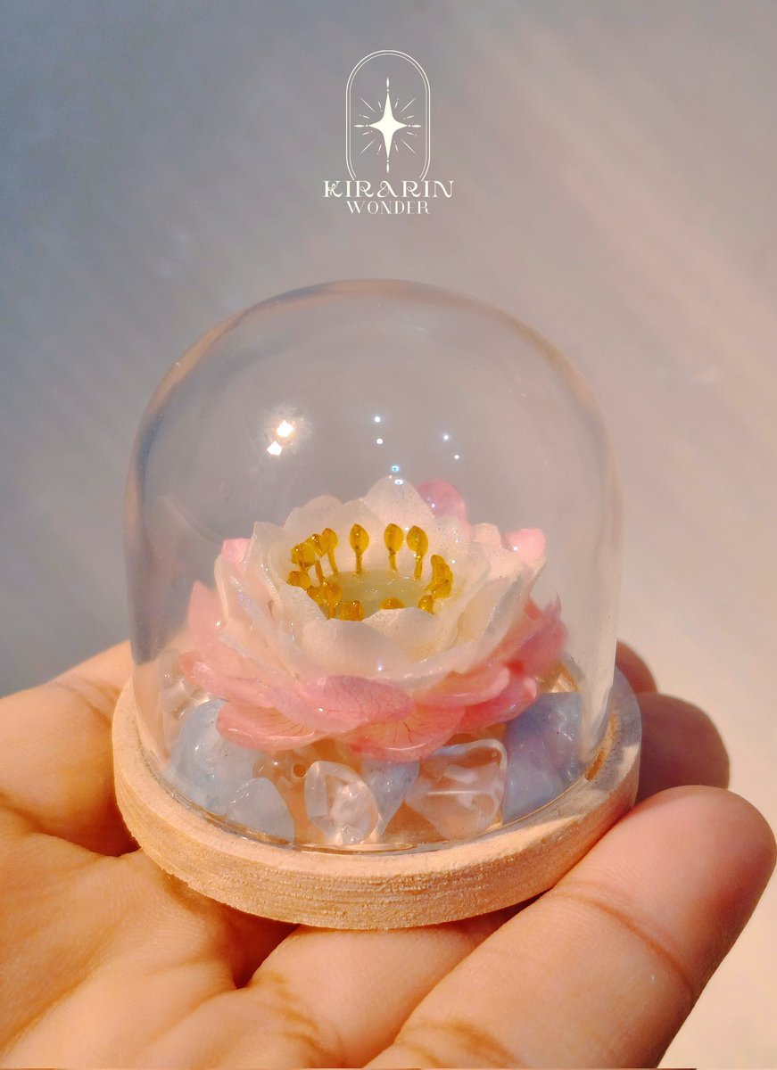 ✨แจกของขวัญปีใหม่ค่ะ🪷

แจกน้องบัวน้อยในโดมแก้ว 2 รางวัล
                 กติกา รีและฟอลร้านค่ะ

น้องบัวดอกเล็กๆจากกลีบไฮเดรนเยีย ในโดมแก้วใบจิ๋ว

สุ่มผู้โชคดี วันที่ 1มกราคม 2569
มาร่วมสนุกกันน้า🙏🏼