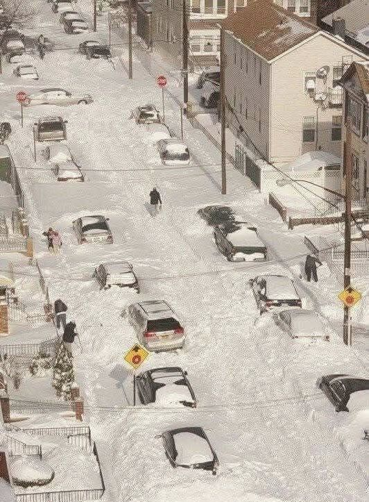 Anti Left Memes tweet media