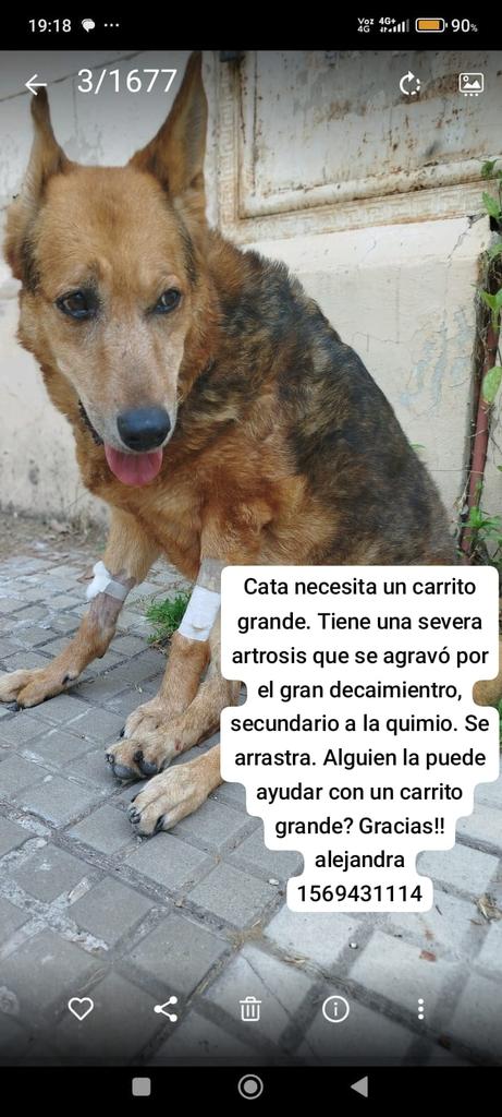 Rt
Difundimos