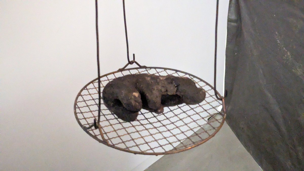 bug
「バグスクール2025：モーメント・スケープ」
Aokid、芦川瑞季、KANOKO TAKAYA、坂本森海、タツルハタヤマ、八木恵梨、𠮷田勝信

八木さんがとても良かったのでマグネットもらった