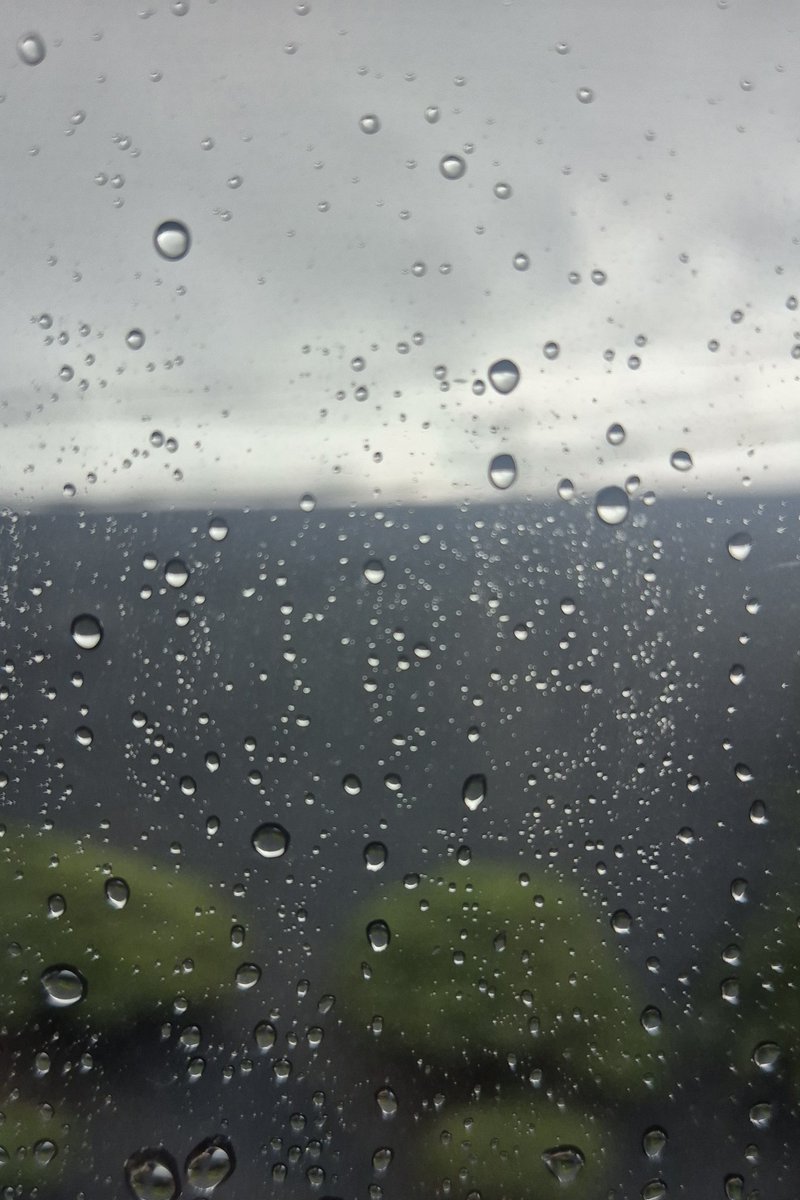 mrdkthere's tweet photo. Rain in the year end morning https://t.co/afk7SUbsrV