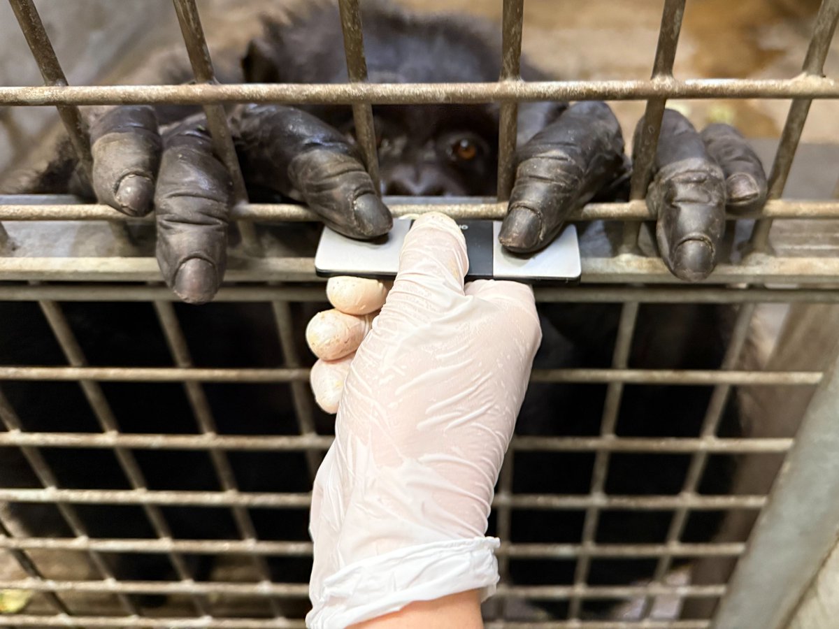 Miki (@mickey44mickey) / Posts / X