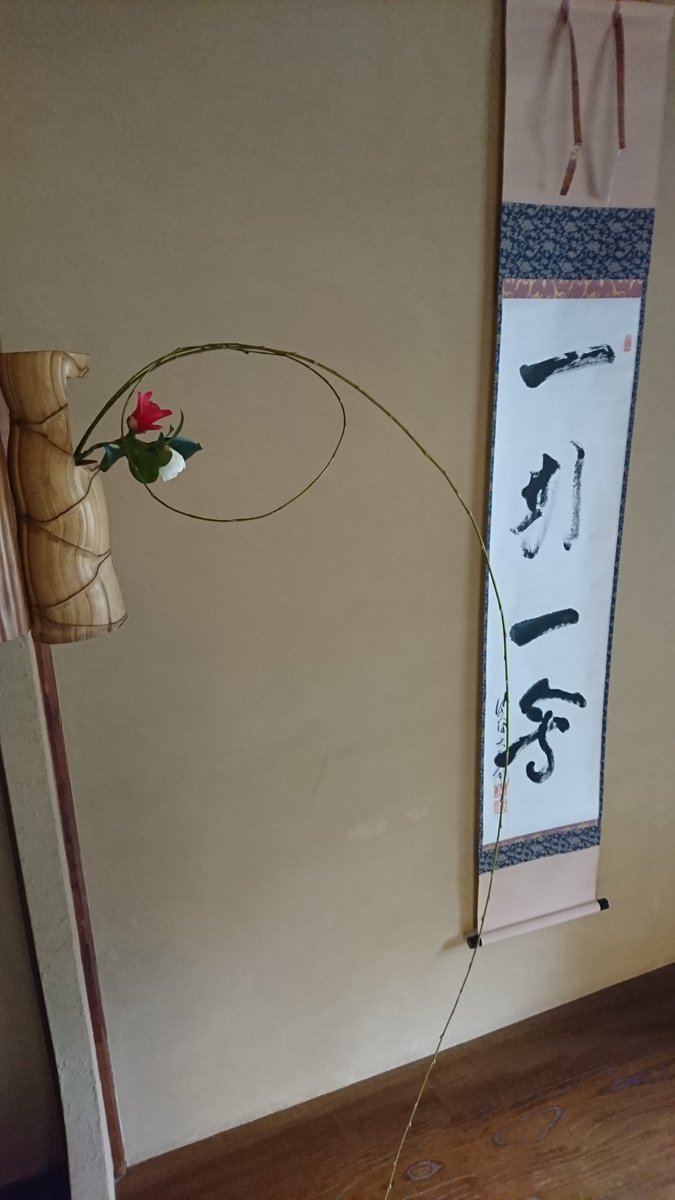 Last tea ceremony of the year.

The flower was especially crafted with the new year in mind.

The red and white (kohaku) camellia and and the long Yanagi representing a long life.

The loop in the Yanagi represents peacefulness.

よよとしお!