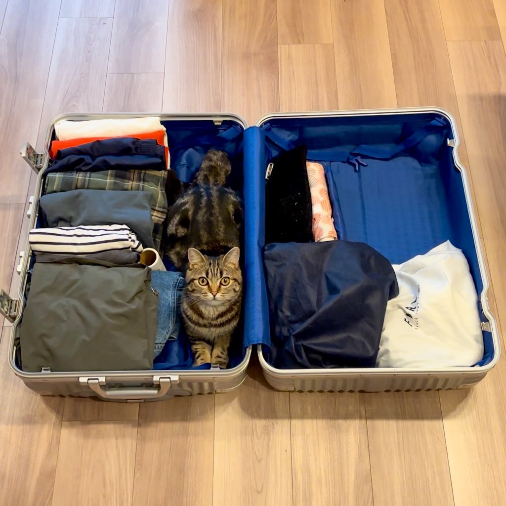 旅行の準備してたら、テトリスの長い棒みたいに隙間に入ってくるねこ