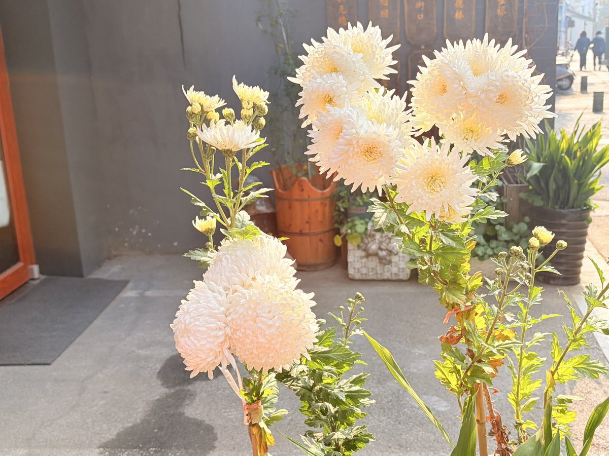 Butterfly_Jiao's tweet photo. https://t.co/2r3CnME5se