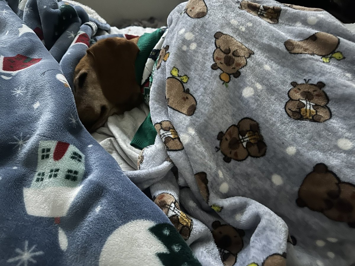 drvgl's tweet image. amamos las vacaciones y despertarnos tarde 🤍