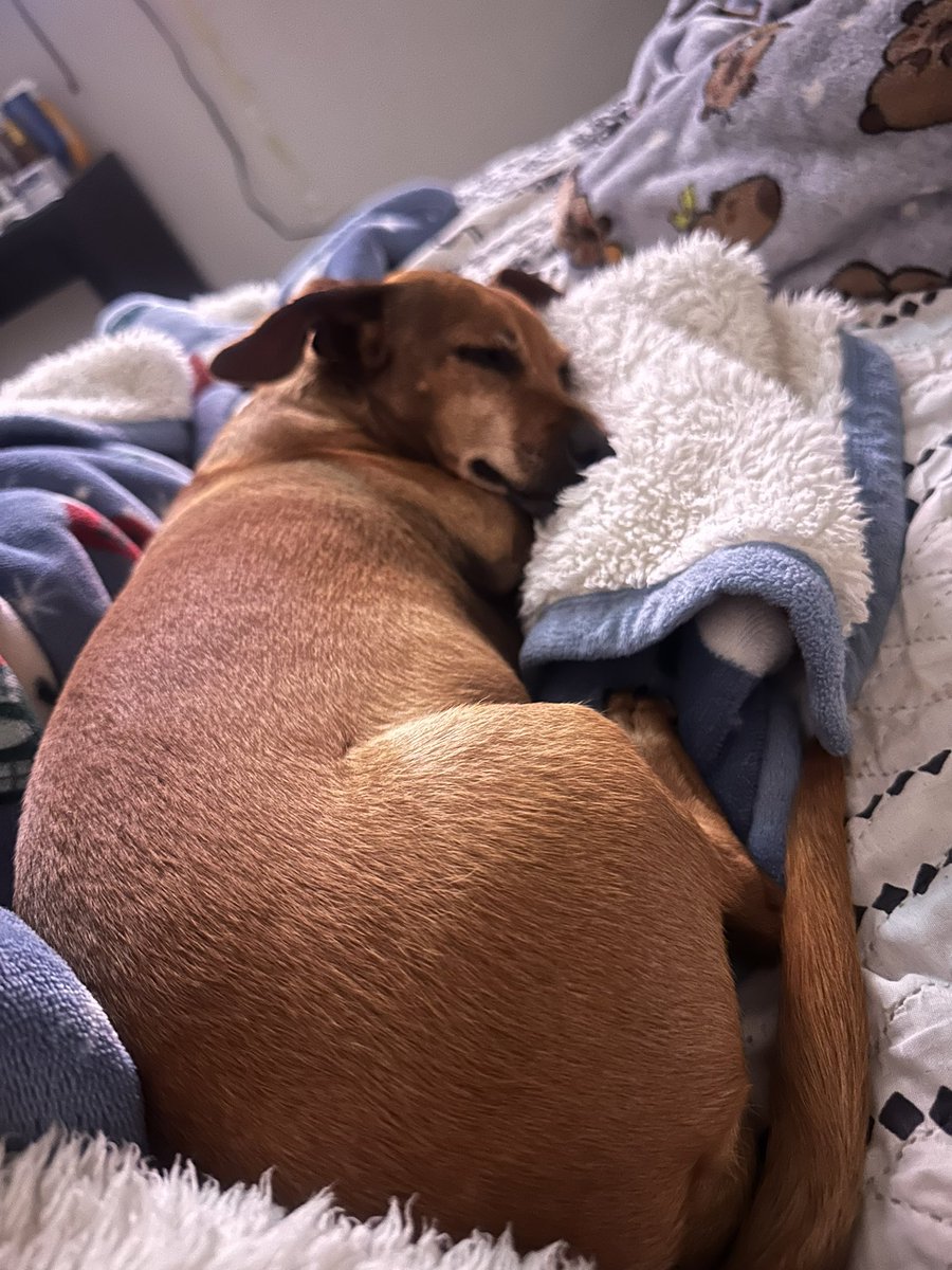 drvgl's tweet image. amamos las vacaciones y despertarnos tarde 🤍