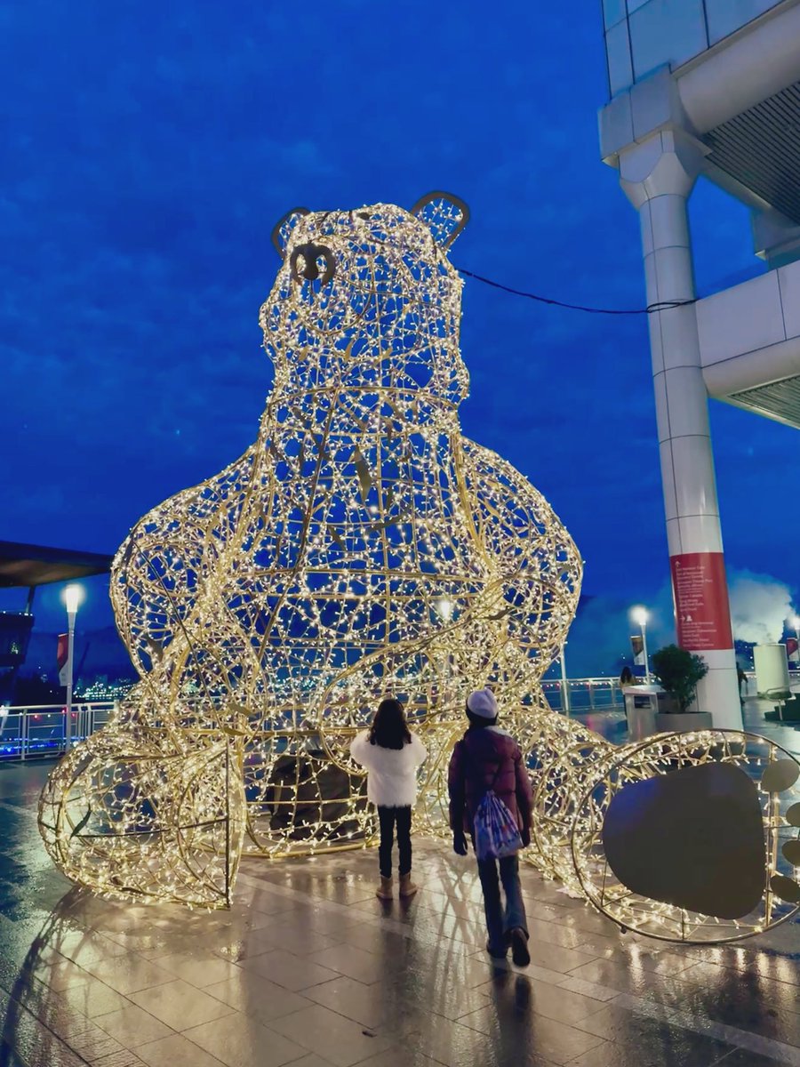 PBK_84's tweet image. Winter fun! ❄️ #granvillebridgespinningchandelier  #lightsofhope #flyovercanada