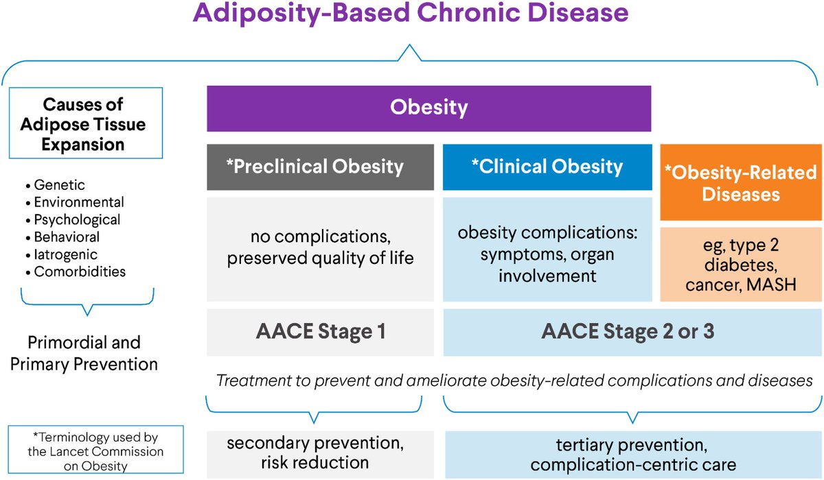 aminulsomc46's tweet photo. New obesity classification by AACE
https://t.co/V34isdGUFo
#obesity #AACE #diabetes https://t.co/VtMDkjmR1L
