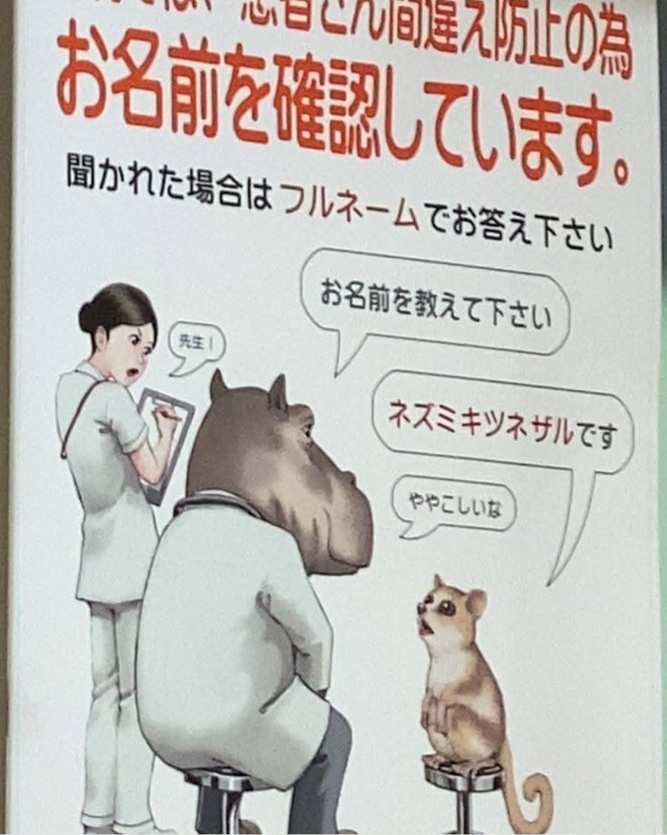 ネズミキツネザル可愛い🐹