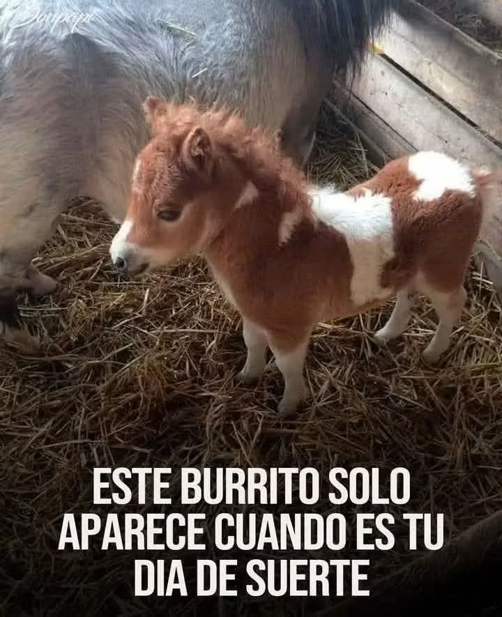 No lo Ignores y comienza bien el nuevo Año...