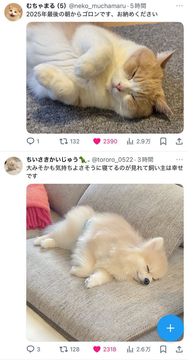 2025年おすすめTL最高の瞬間きた