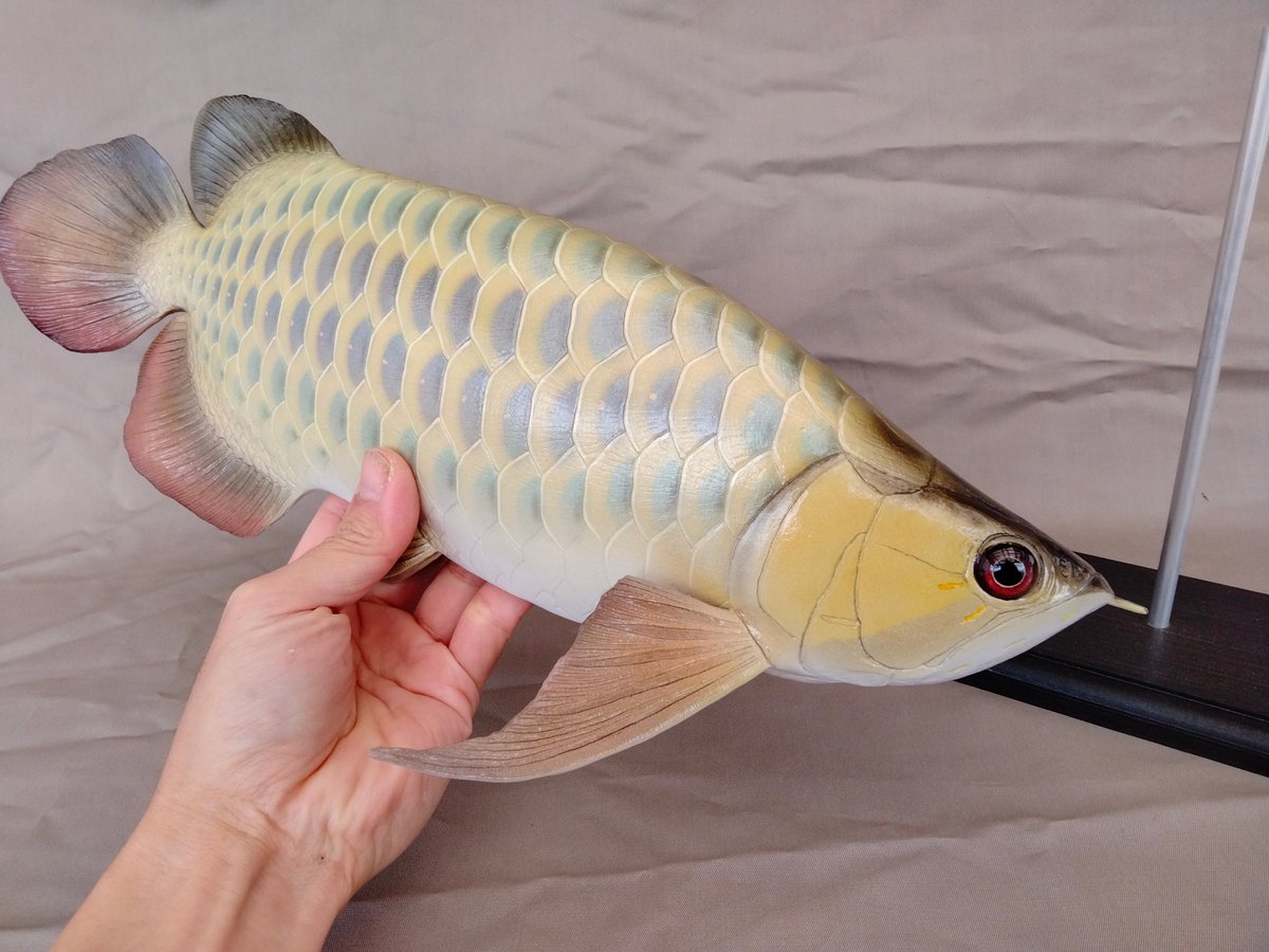 fish craft REAL (@gladiator12827) / Posts / X