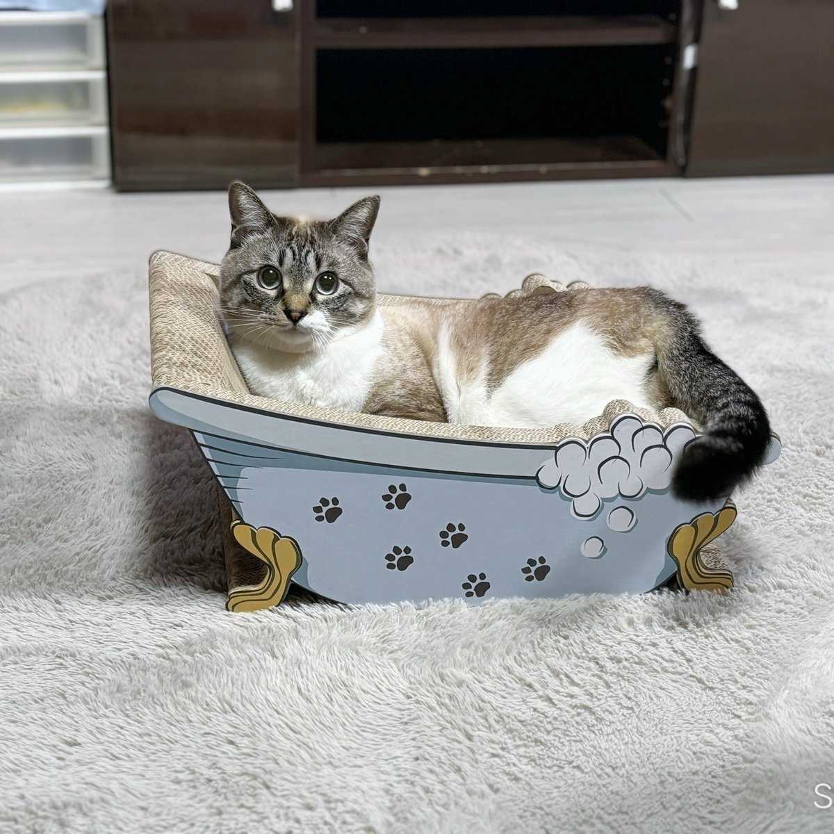 天使👼こめ (@0818kome) / Posts / X