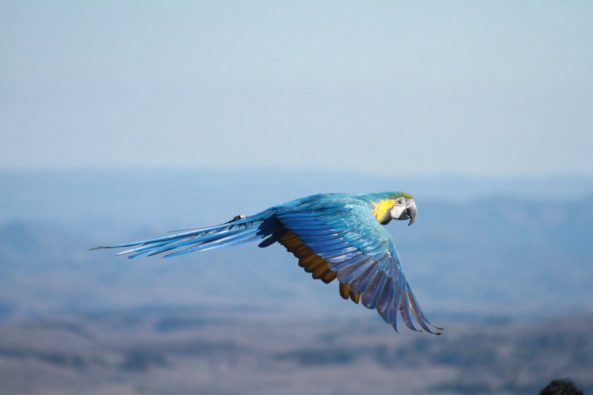 那須どうぶつ王国 (@nakprstaff) / Highlights / X, image size:1200x800