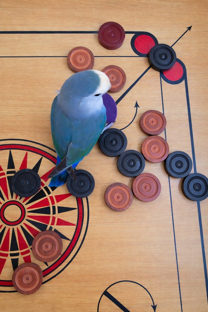  𝓦𝓔𝓓 tweet media