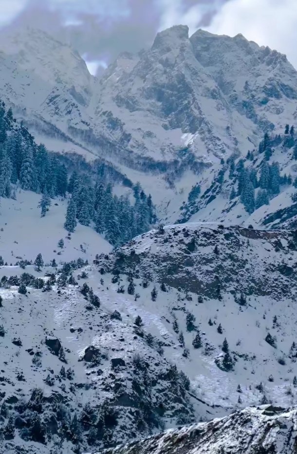MananHnz's tweet image. Nobody is superior, nobody is inferior, but nobody is equal either. People are simply unique, incomparable. You are you, I am I.

Life in #GilgitBaltistan State Mountains ❤️ #Skardu