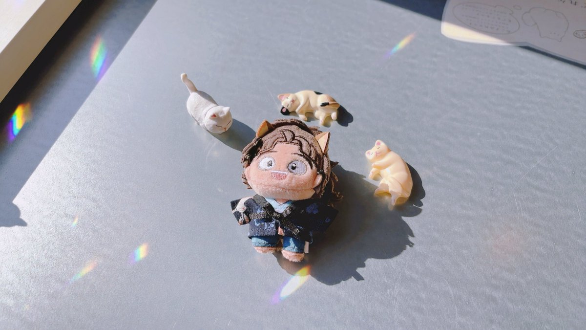 まろ ☀️🐱🎋🐱🐱