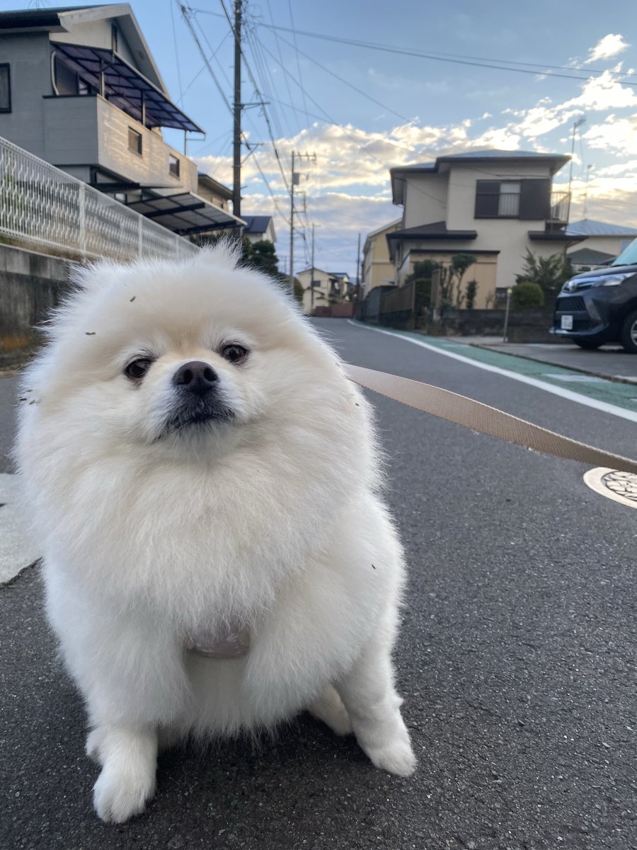 今年も自由気まま（ワガママ）に過ごしました。 まぁ楽しそうだから