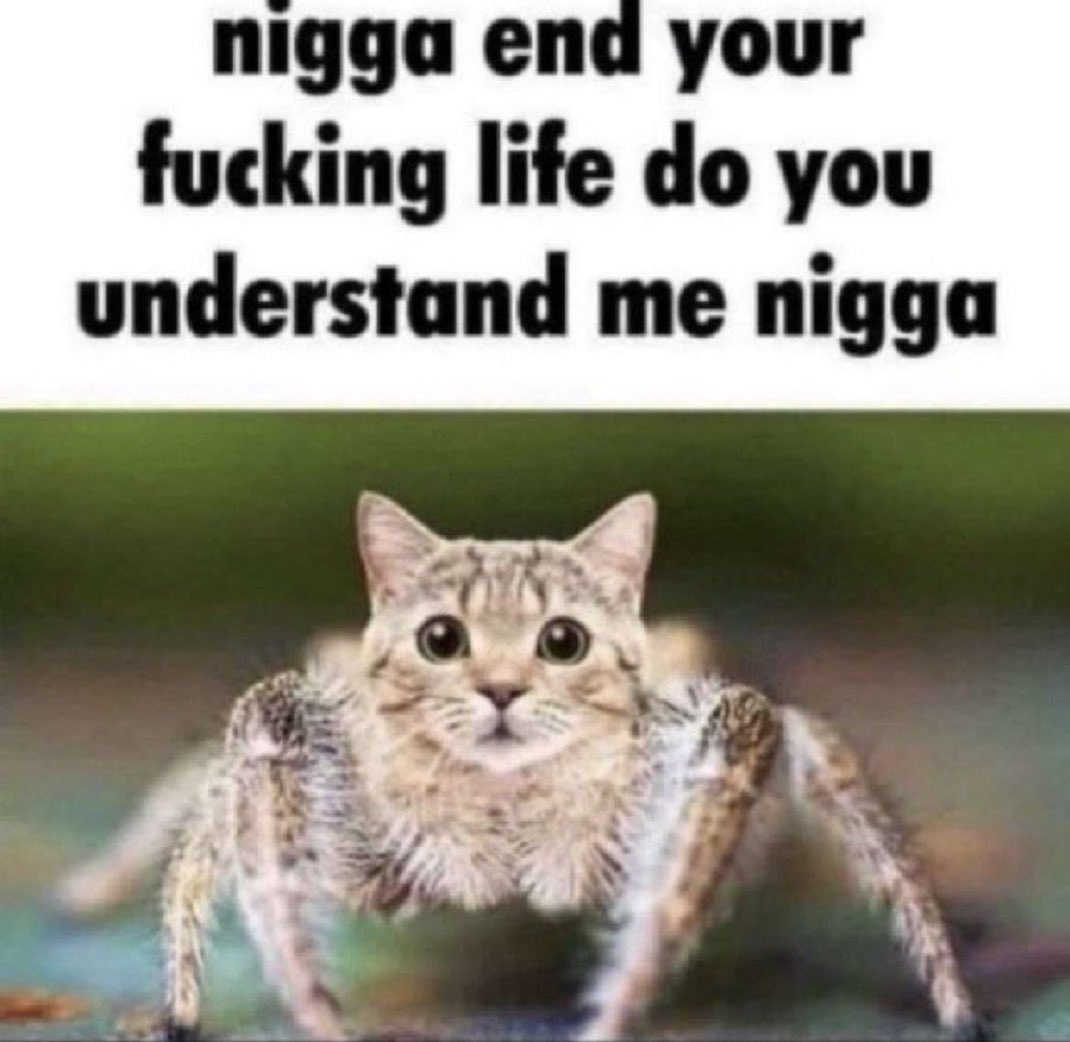 Dark,Odd,Conspiracy tweet media