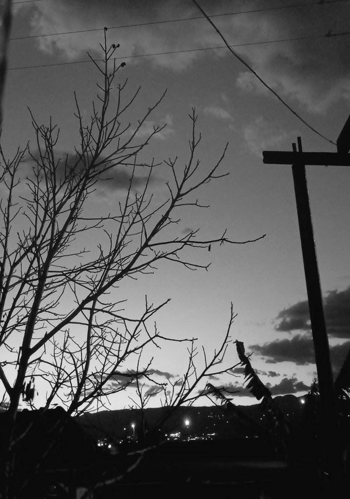 "Belki bir gün bir mucize olur. 
Mucizeler zaten hep olurdu, yoksa tırtıllar fillerin yaşadığı bu dünyada nasıl yaşardı?"

• Hikmet Anıl Öztekin