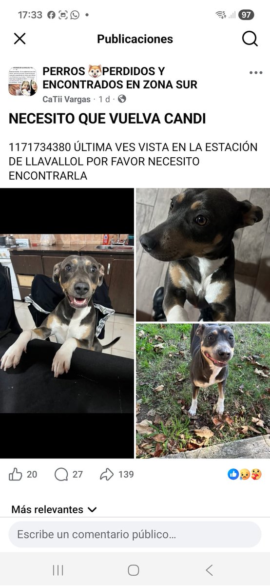 Maria Ines (@mariain77662119) on Twitter photo 