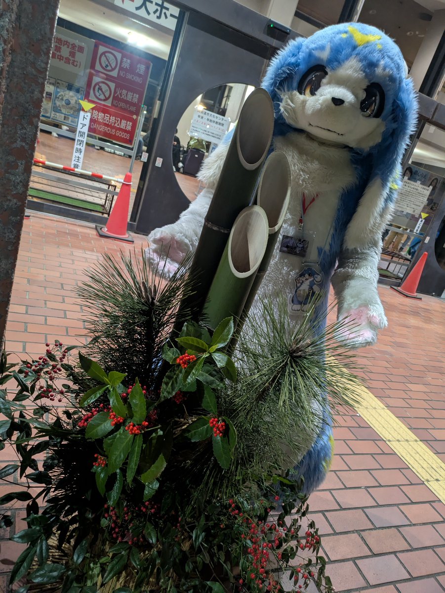 ボルテ《next⇒未定》 tweet media