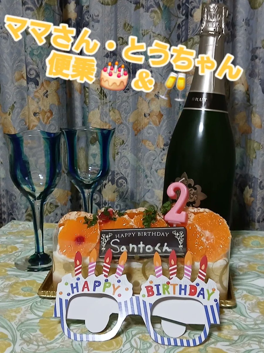 Santo 昨日をもちましてめでたく２歳になりました🎂
これからもよろしくお願い申し上げます☺