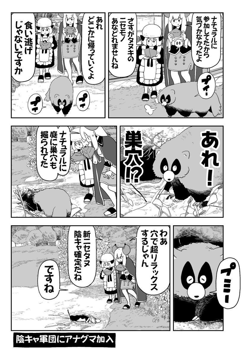 たぬきさん、アライグマさん、アナグマさんそろって暑さで倒れる(4/4) 