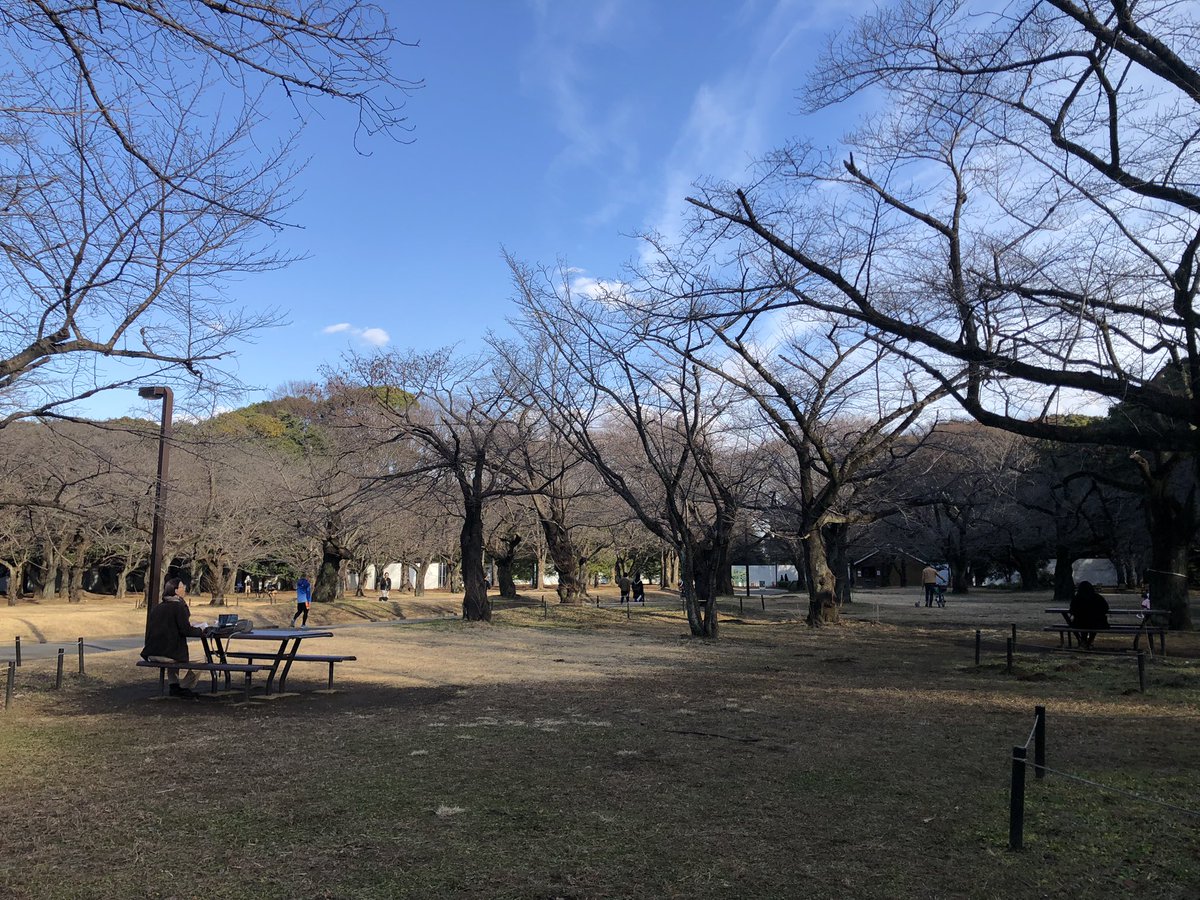 090oooo's tweet image. 年内最後のフォトウォーキング❗️
代々木公園まで来ましたー。
空気は冷んやりしてるけど気持ちいいね。
もう少し歩いてから帰宅します。

途中、居酒屋寄っちゃいそうだけど。(^^)