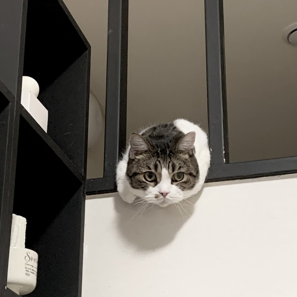 단밤 ✧☾ tweet media