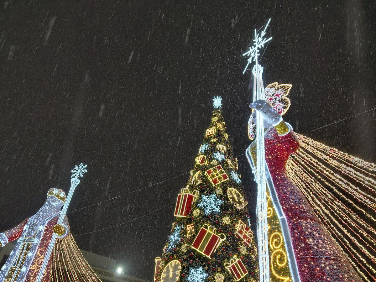 ForsarOfficial's tweet photo. @nofknusernames @IiroSalonen1 Festive Christmas tree in Simferopol. https://t.co/Z4BJzTcUL6