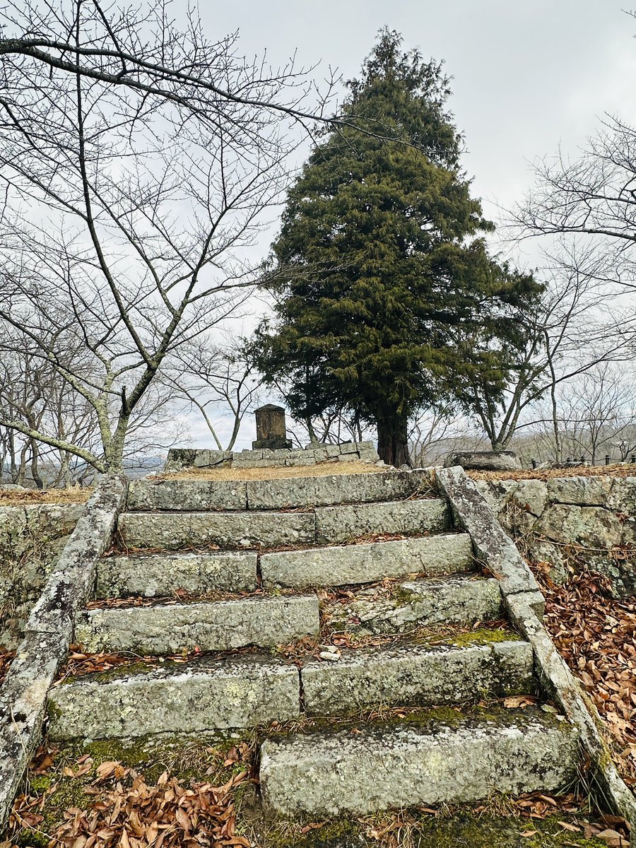 Leaderjp's tweet image. 12月纏め。12/21は福島・三春城へ。城は規模もあり景色も良くて交通の便さえ良ければなと。ただ田村家無名だし、城壁もほぼ無いしこの以上は厳しいか。桜の多い城なので、三春桜と共に来る価値はありかも🌸
名城は本丸付近に。
#信長出陣 #三春城
I'm at 三春城 in 福島県 app.foursquare.com/share/checkin/…