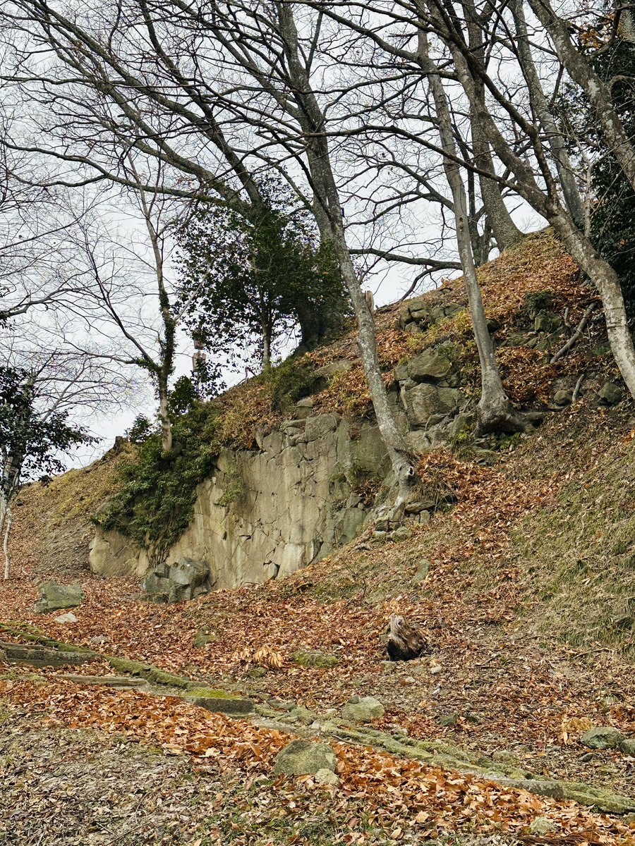 Leaderjp's tweet image. 12月纏め。12/21は福島・三春城へ。城は規模もあり景色も良くて交通の便さえ良ければなと。ただ田村家無名だし、城壁もほぼ無いしこの以上は厳しいか。桜の多い城なので、三春桜と共に来る価値はありかも🌸
名城は本丸付近に。
#信長出陣 #三春城
I'm at 三春城 in 福島県 app.foursquare.com/share/checkin/…