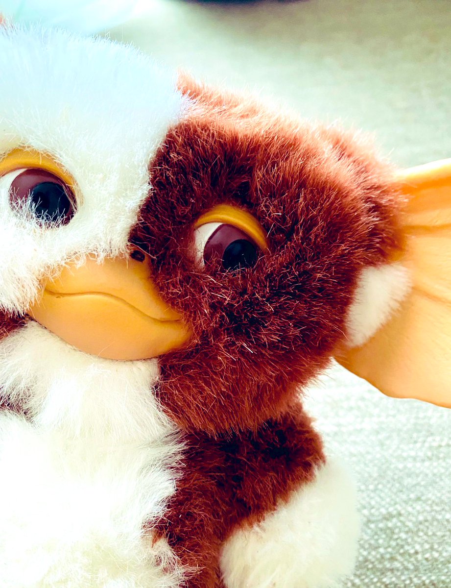 furby_do's tweet photo. ２０２５年ありがとうございました❄️⋆｡˚２０２６年もよろしくおねがいしますʕ•̬͡•ʔ https://t.co/u0ylqHh14d